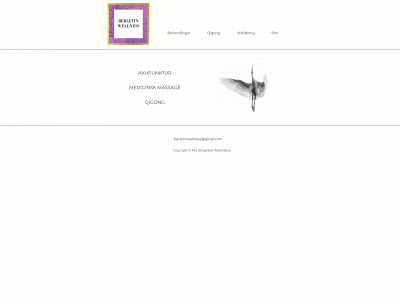 berletinwellness.se snapshot