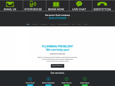 thepowerflushcompany.solutions snapshot