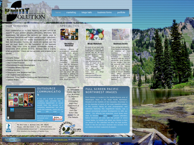 printsolution.com snapshot