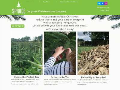 thegreenchristmastreecompany.co.uk snapshot