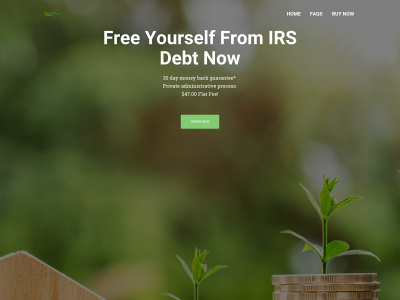 taxbillreliefmadesimple.com snapshot