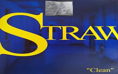 strawtheband.se snapshot