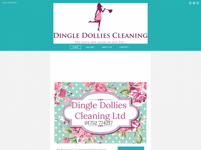 cleanersinplymouth.co.uk snapshot