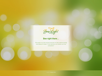 beelight.be snapshot