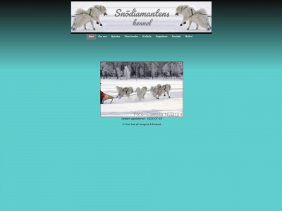 snodiamantens.se snapshot