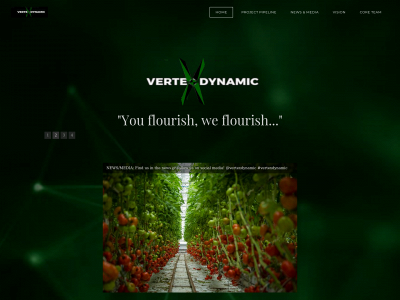 vertexdynamic.co snapshot