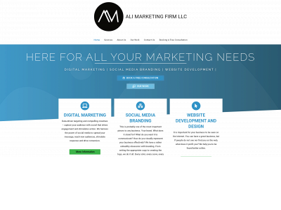 alimarketingfirm.com snapshot