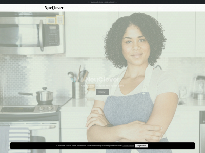 neuclever.se snapshot
