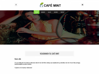 cafemint.dk snapshot