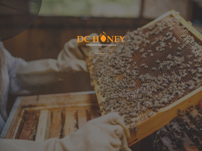 dchoney.se snapshot
