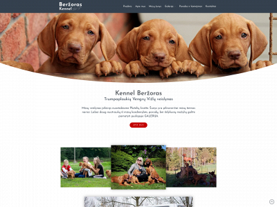 berzoraskennel.lt snapshot