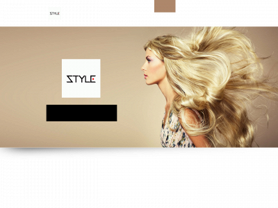 styliey.com snapshot