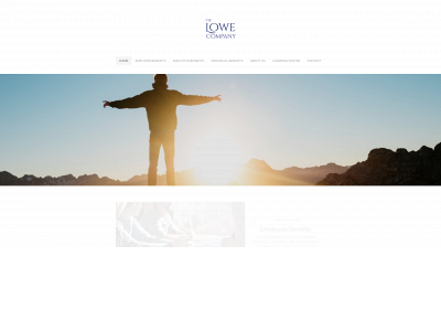 www.thelowecompany.com snapshot