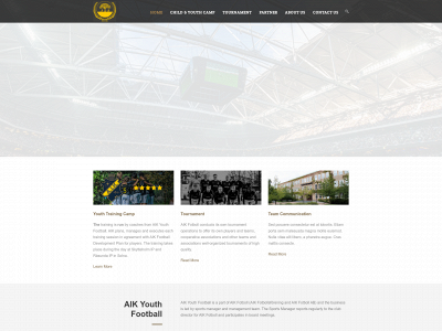 efeg.se snapshot
