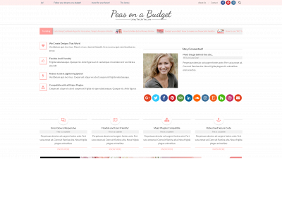 peasonabudget.com snapshot