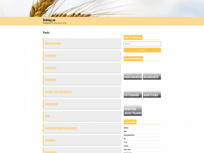 testbaker.net snapshot