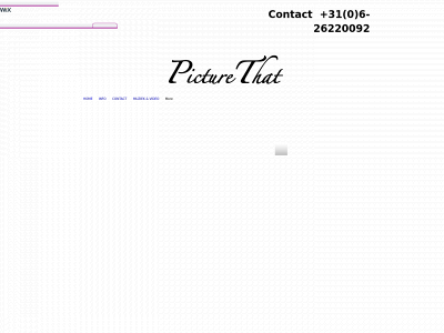 picturethat.info snapshot