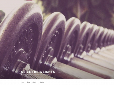 seizetheweights.com snapshot