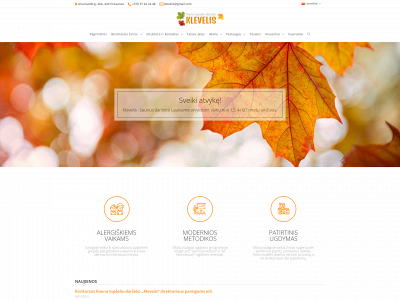 klevelis.lt snapshot