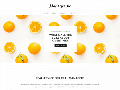managerine.weebly.com snapshot