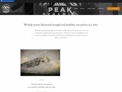 peakdynamix.com snapshot