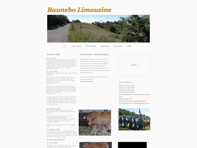 baunebolimousine.dk snapshot