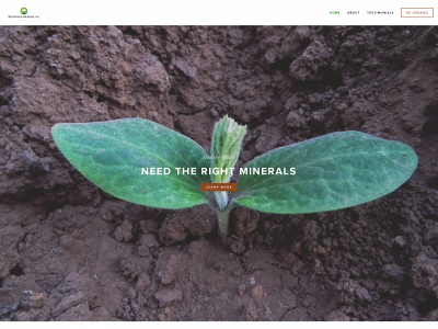 biomineralsolutions.com snapshot