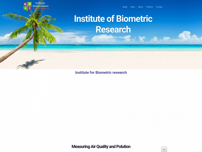 br-institute.com snapshot