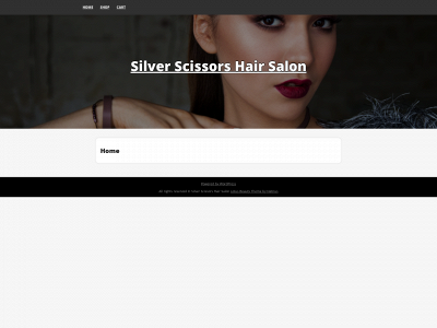 silverscissorshairsalon.com snapshot
