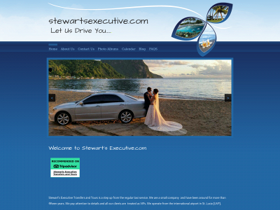 stewartsexecutive.com snapshot