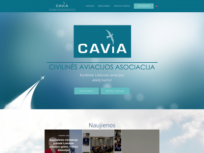 cavia.lt snapshot