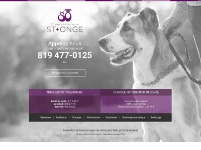 cliniquestonge.com snapshot