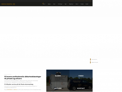 brink-sikring.dk snapshot