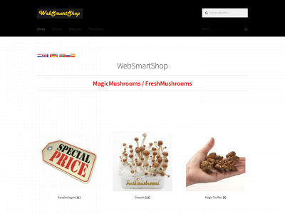 websmartshop.nl snapshot