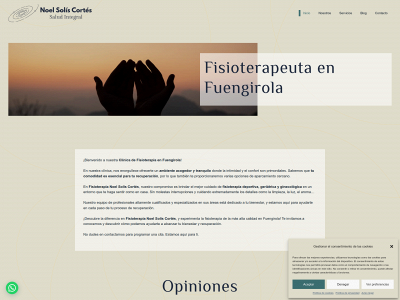 fisioterapianoelsolis.com snapshot