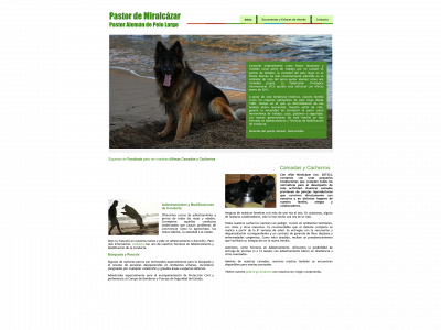 pastoralemanpelolargo.es snapshot