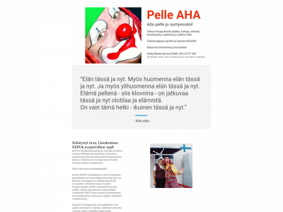 pelle.fi snapshot