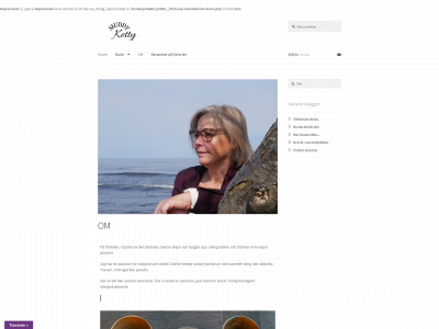 muddyketty.com snapshot