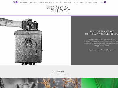 zooomphoto.com snapshot