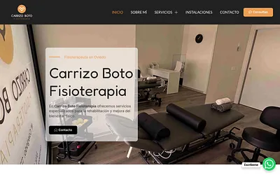 carrizobotofisioterapia.com snapshot
