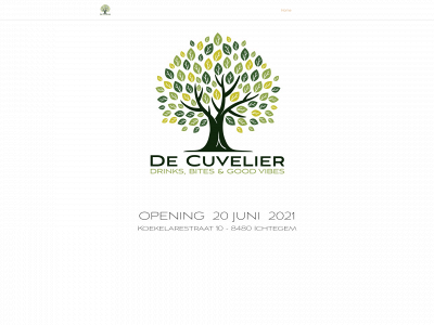 decuvelier.be snapshot