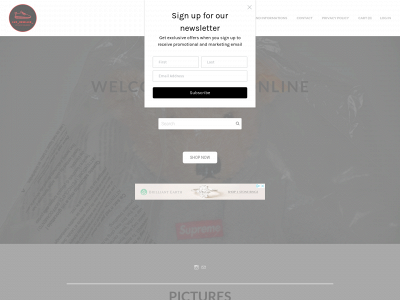 www.lux-reseller-online.com snapshot