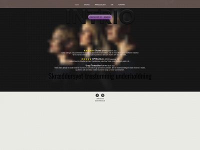 intrio.dk snapshot