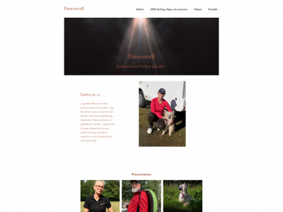 panemorfi.se snapshot