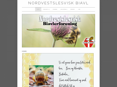 nvs-biavl.dk snapshot