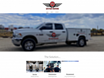 www.elitefleetsolutionsllc.com snapshot