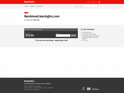 bambinoscateringinc.com snapshot