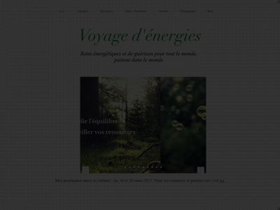 voyagedenergies.com snapshot