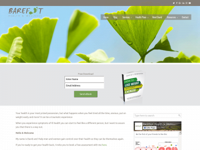 barefootwellness.com.au snapshot