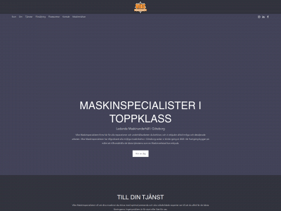 vibesweden.se snapshot